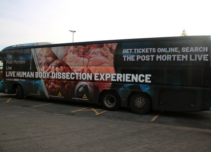 Students get hands-on experience with dissecting organs