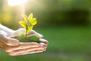 UKSPF sustainable image UKSPF sustainable image