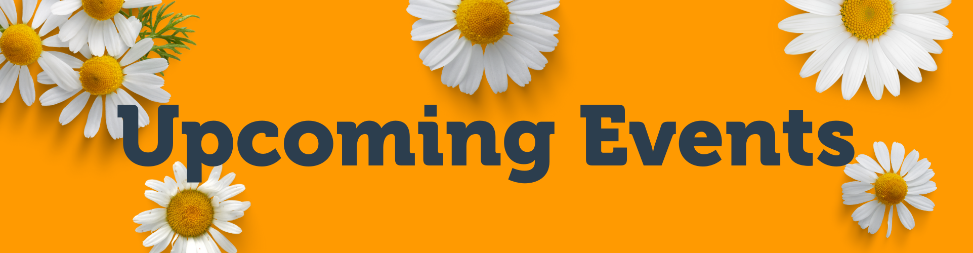 Upcoming Events