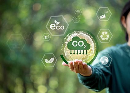 Sustainable Training courses