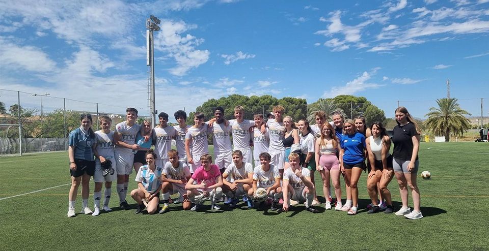 Past International Work Experience