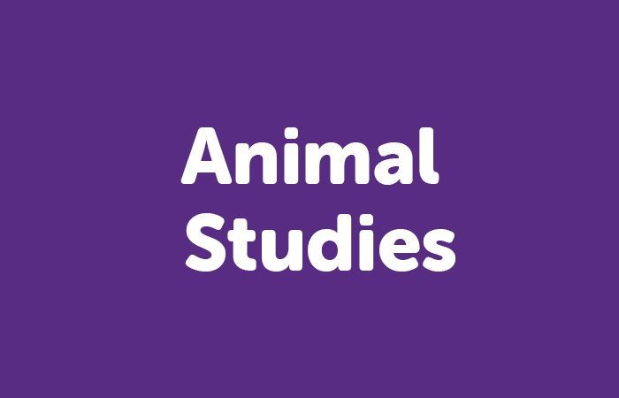 Animal Studies courses